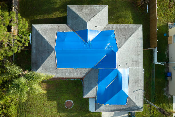 Best Roof Moss and Algae Removal  in Kennedale, TX